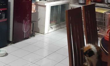 Rumah Jual Cepat Pongangan Indah (PPI) Manyar Gresik