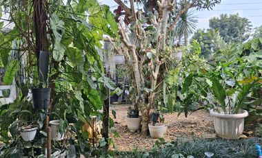 Rumah LT 258 SHM 11 Menit ke Lippo Plaza Ekalokasari Siap KPR J-35020