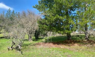 Parcela en Venta en pencahue