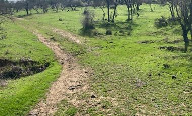 Parcela en Venta en pencahue