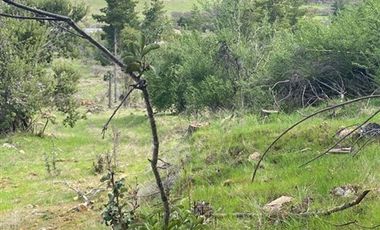 Parcela en Venta en pencahue