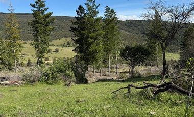 Parcela en Venta en pencahue