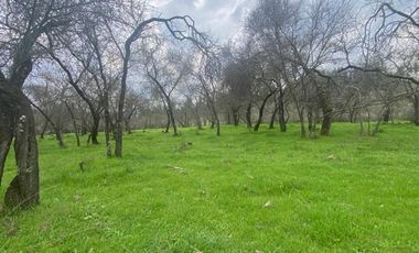 Parcela en Venta en pencahue