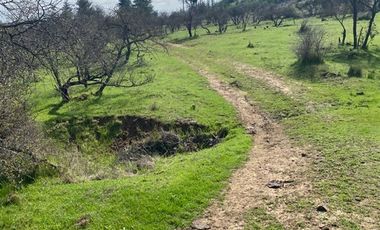 Parcela en Venta en pencahue