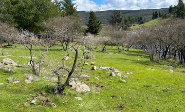 Parcela en Venta en pencahue