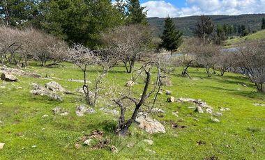 Parcela en Venta en pencahue