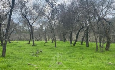 Parcela en Venta en pencahue