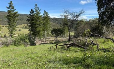 Parcela en Venta en pencahue