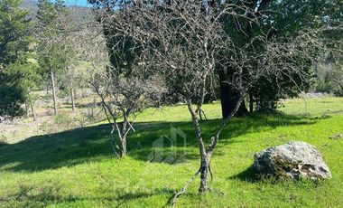Parcela en Venta en pencahue