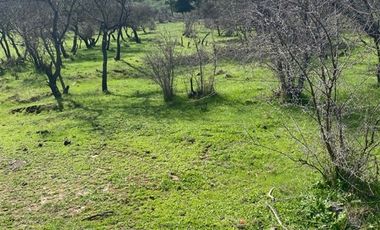 Parcela en Venta en pencahue