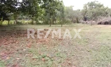 Se Vende precioso Terreno en San Agustin Etla - (3)