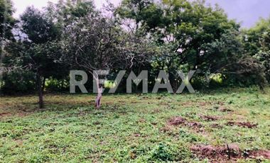 Se Vende precioso Terreno en San Agustin Etla - (3)