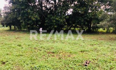 Se Vende precioso Terreno en San Agustin Etla - (3)