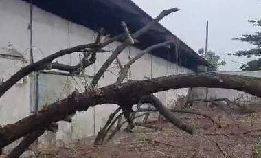 Disewakan Gudang di Sidoarjo Dekat Tol Juanda Waru