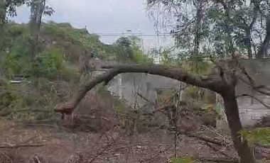 Disewakan Gudang di Sidoarjo Dekat Tol Juanda Waru
