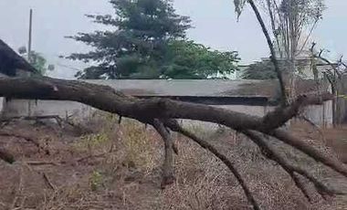 Disewakan Gudang di Sidoarjo Dekat Tol Juanda Waru