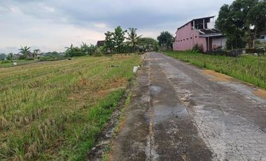 MURAH TANAH SAWAH DEKAT JALAN MANDING - IMOGIRI JETIS BANTUL JK13131