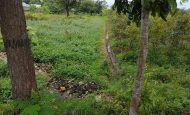 DIJUAL TANAH MATARAM NARMADA LOMBOK BARAT NOL JALAN UTAMA