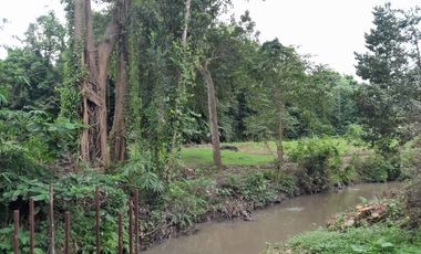 Tanah los sungai yg berlokasi di buduk Tumbakbayuh
