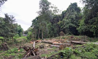Tanah los sungai yg berlokasi di buduk Tumbakbayuh