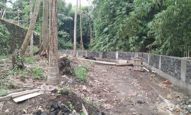 Tanah los sungai yg berlokasi di buduk Tumbakbayuh