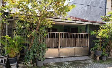 Nuansa Hijau! Dijual Rumah Delta Sari Indah Waru Sidoarjo