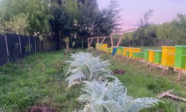 Casa en Venta en coironal , Yerbas Buenas