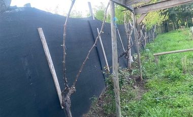 Casa en Venta en coironal , Yerbas Buenas