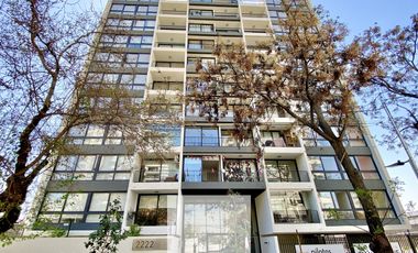 Excelente Vista Promoción 2 Meses A $400.000