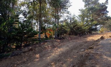 EXCELENTE!! Parcela de 5.000 m2 con una Vista Espectacular en Lomas de Cahuil, Pichilemu