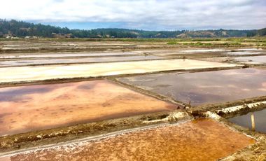 EXCELENTE!! Parcela de 5.000 m2 con una Vista Espectacular en Lomas de Cahuil, Pichilemu