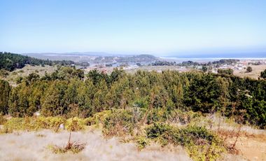 EXCELENTE!! Parcela de 5.000 m2 con una Vista Espectacular en Lomas de Cahuil, Pichilemu