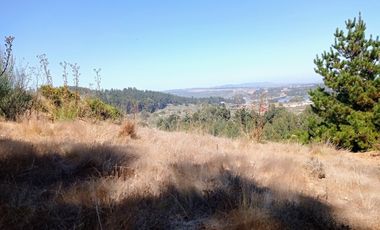 EXCELENTE!! Parcela de 5.000 m2 con una Vista Espectacular en Lomas de Cahuil, Pichilemu