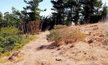 EXCELENTE!! Parcela de 5.000 m2 con una Vista Espectacular en Lomas de Cahuil, Pichilemu