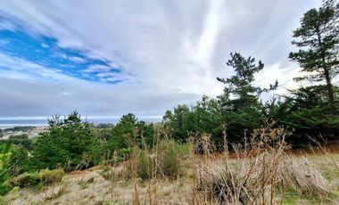 EXCELENTE!! Parcela de 5.000 m2 con una Vista Espectacular en Lomas de Cahuil, Pichilemu