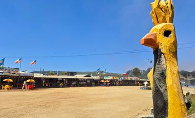 EXCELENTE!! Parcela de 5.000 m2 con una Vista Espectacular en Lomas de Cahuil, Pichilemu