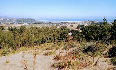 EXCELENTE!! Parcela de 5.000 m2 con una Vista Espectacular en Lomas de Cahuil, Pichilemu