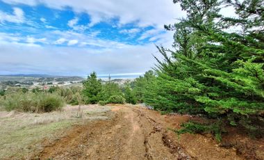 EXCELENTE!! Parcela de 5.000 m2 con una Vista Espectacular en Lomas de Cahuil, Pichilemu