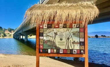 EXCELENTE!! Parcela de 5.000 m2 con una Vista Espectacular en Lomas de Cahuil, Pichilemu