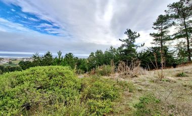 EXCELENTE!! Parcela de 5.000 m2 con una Vista Espectacular en Lomas de Cahuil, Pichilemu