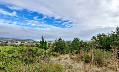 EXCELENTE!! Parcela de 5.000 m2 con una Vista Espectacular en Lomas de Cahuil, Pichilemu