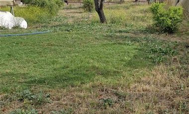 Parcela en Venta en EL PAPAGAYO/ PARCELA DE 5000 METROS CON CASA Y PISCINA /RECEPCION FINAL/ PARCELACION CON ACCESO CONTROLADO