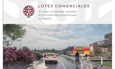 Lote Residencial Rosso Pachuca