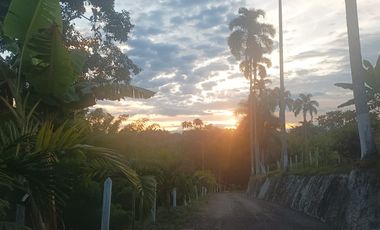 LOTE EN VENTA EN PEREIRA