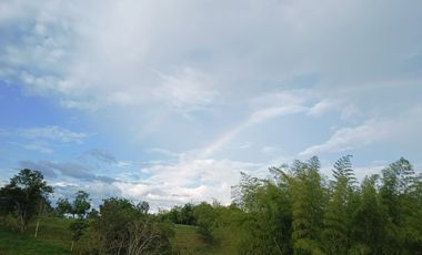 LOTE EN VENTA EN PEREIRA