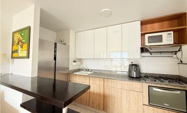Rento Apartamento Amoblado En El Poblado