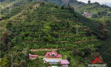 Finca en Combia, Pereira