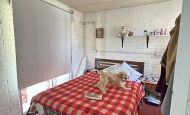 JARDIN ALTO//ANTOFAGASTA