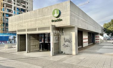 Arrendado Ideal Para Inversión