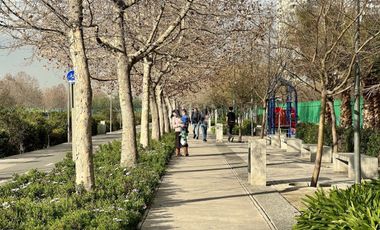 Arrendado Ideal Para Inversión